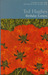 Birthday Letters (Paperback)