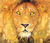 The Lion & the Mouse (Hardcover)