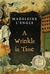 A Wrinkle in Time (Time Series, #1)