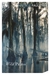 Wild Palms (Paperback)