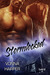 Stormlocked by Vonna Harper