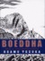Boeddha Deel 2: Vier ontmoetingen (Hardcover)