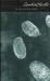 Five Little Pigs (Paperback)