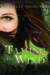 Taming the Wind