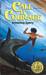 Call It Courage (Paperback)
