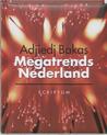 Megatrends Nederland Megatrends Nederland