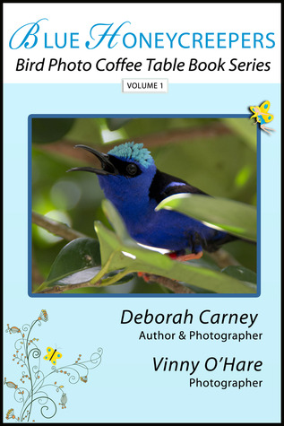 Blue Honeycreepers by Deborah  Carney