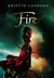 Fire (Graceling Realm, #2)