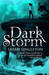 Dark Storm (ebook)