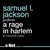 A Rage in Harlem (Harlem Cycle, #1)
