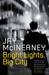 Bright Lights, Big City (Paperback)