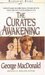 The Curate's Awakening (Paperback)