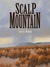 Scalp Mountain by Julia Robb