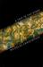 A Trip to the Stars (Hardcover)