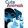 Cute Animals
