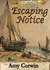 Escaping Notice