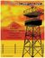 Eyes Behind Belligerence (Kindle Edition)