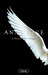L'Heure de l'ange (Paperback)