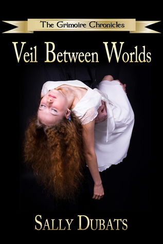 The Grimoire Chronicles: Veil Between Worlds