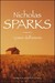 I passi dell'amore by Nicholas Sparks