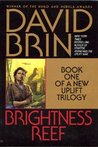 Brightness Reef (Uplift Storm Trilogy, #1)