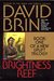 Brightness Reef (Uplift Storm Trilogy, #1)
