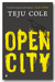 Open City (Paperback)