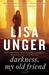 Darkness, My Old Friend (The Hollows, #2)