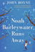 Noah Barleywater Runs Away (Paperback)