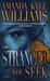 The Stranger You Seek (Paperback)