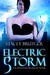 Electric Storm (Kindle Edition)