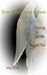 Thy Kingdom Come: Piercing ...