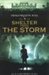 Shelter from the Storm (Swallowcliffe Hall, #3)