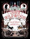Under Wildwood by Colin Meloy