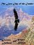 The Lost City of the Condor
