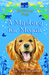 A Mystery For Megan