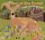 Over in the Forest: Come and Take a Peek (Hardcover)