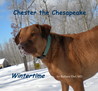Chester The Chesapeake by Barbara Ebel