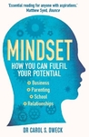 Mindset: How You Can Fulfil Your Potential