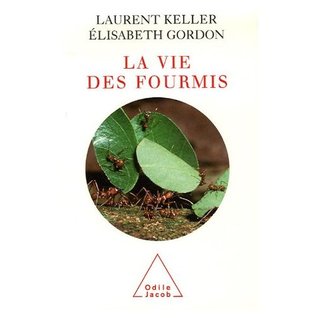 La vie des fourmis