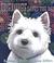 McDuff Saves the Day (Hardcover)