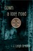 Down a Lost Road (The Lost Road Chronicles, #1)