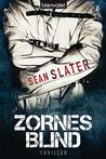 Zornesblind (Jacob Striker, #2)