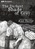 The Darkest Shade of Grey (Kindle Edition)