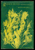 Green Song and Other Poems