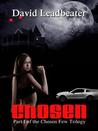 Chosen (The Chosen Few Trilogy, #1)