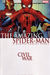 Civil War: The Amazing Spider-Man