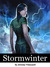 Stormwinter by Jeremy Vineyard