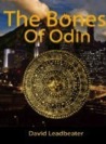 The Bones of Odin (Matt Drake, #1)