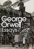 George Orwell: Essays